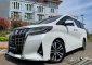 Toyota Alphard G dijual cepat-10